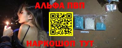 стаф Можга
