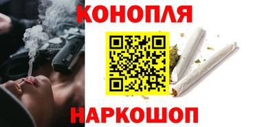 стаф Можга