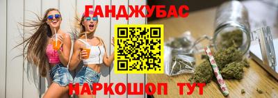 стаф Можга