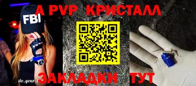 стаф Можга