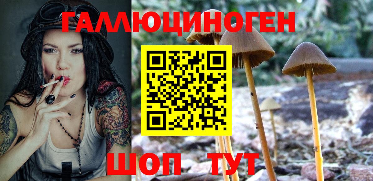 Югорск  где продают наркотики  Вход с VPN  Галлюциногенные грибы Cubensis 