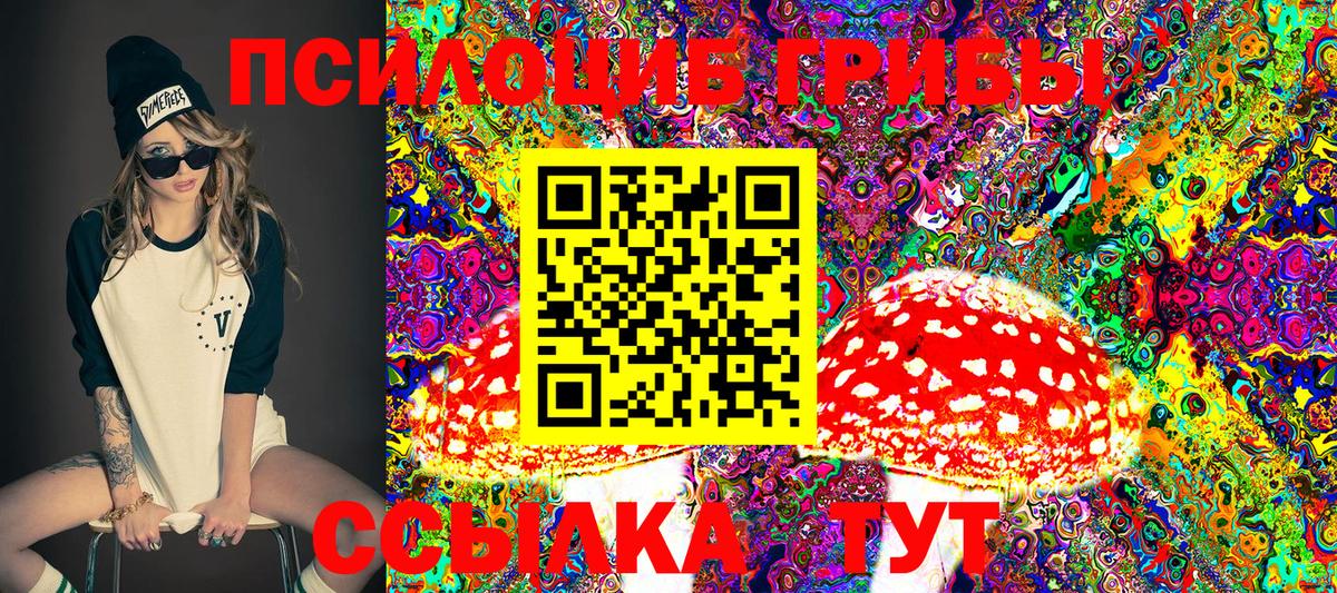 Псилоцибиновые грибы Cubensis Югорск